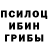 Галлюциногенные грибы ЛСД frank ranny
