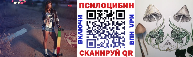 Купить где Верхний Уфалей Псилоцибиновые грибы GOLDEN TEACHER
